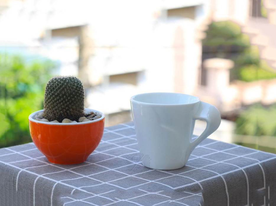 Ly sứ men trắng quai xoắn 200ml 3