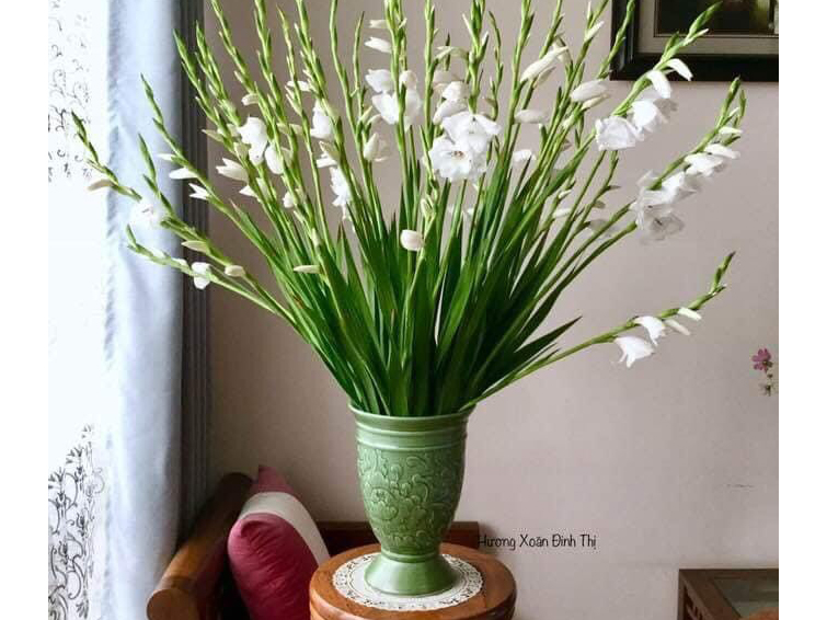 Lọ hoa Bát Tràng men C khắc nổi hoa phù dung dáng cúp 2